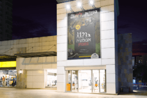 איך מפרסמים ספרים בדרך נכונה ואפקטיבית